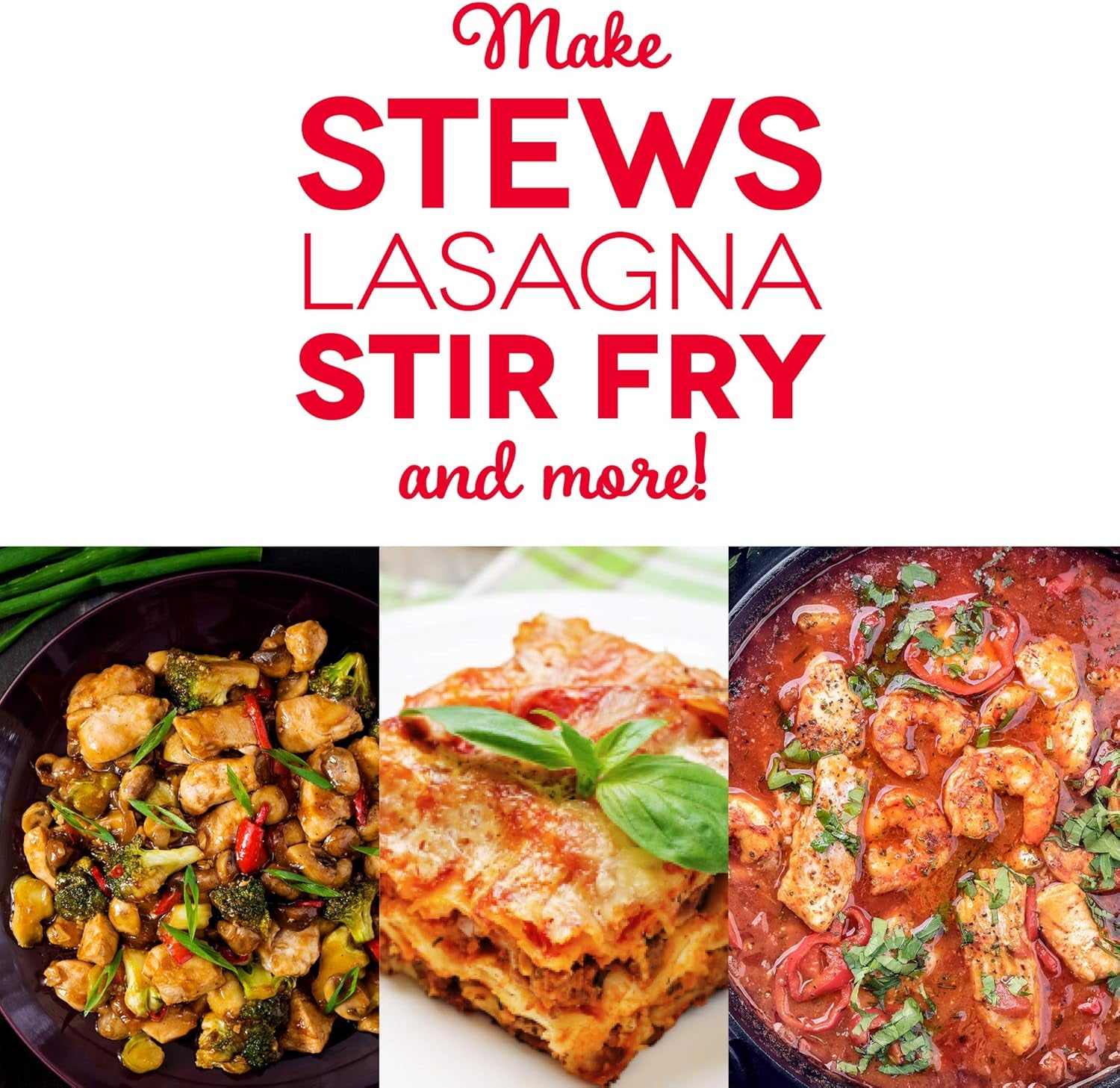 Dash Family Size Electric Skillet with 14 Inch Nonstick Surface + Recipe Book for Pizza, Burgers, Cookies, Fajitas, Breakfast & More, 20 Cup Capacity, 1400-Watt - Black